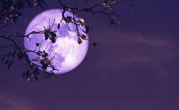 When Is the Full Moon in May 2025? The Flower Moon Calendar in the U.S